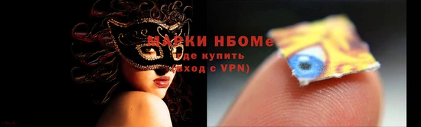 стаф Сосновый Бор