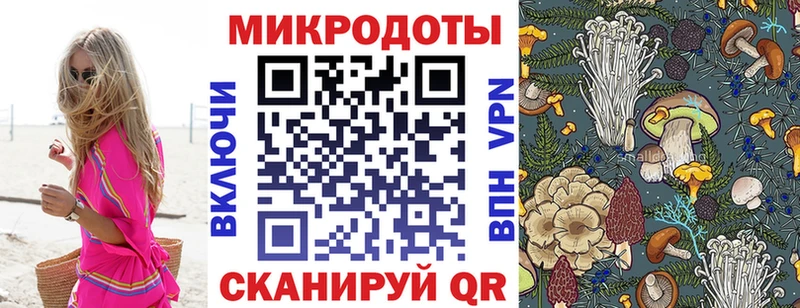 Псилоцибиновые грибы мицелий  Устюжна 
