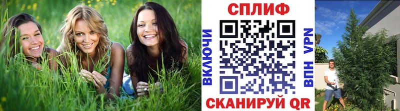 Бошки Шишки VHQ  Устюжна 
